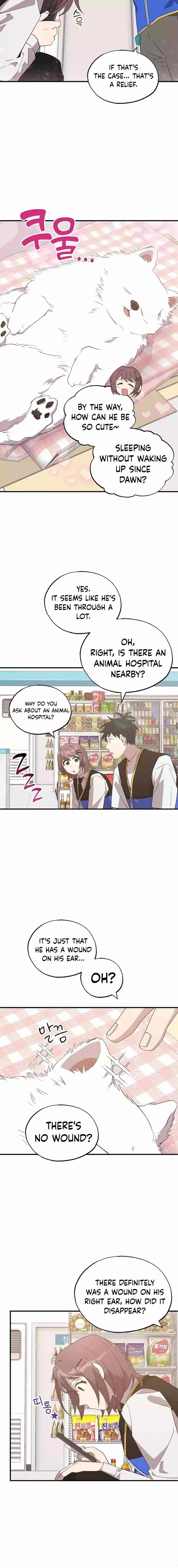 Magical Realm Shopkeeper Chapter 42 13